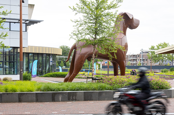 cover-people-places-assen