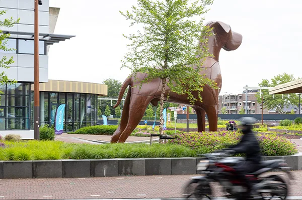 cover-people-places-assen